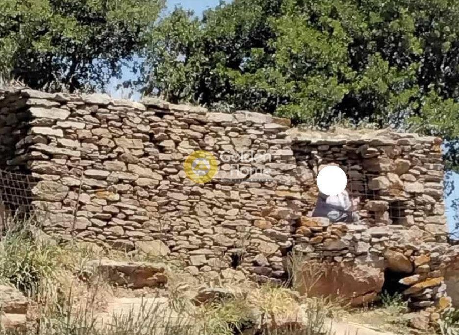 Parcel in Pera Meria, Kea — Photo 4 of 12