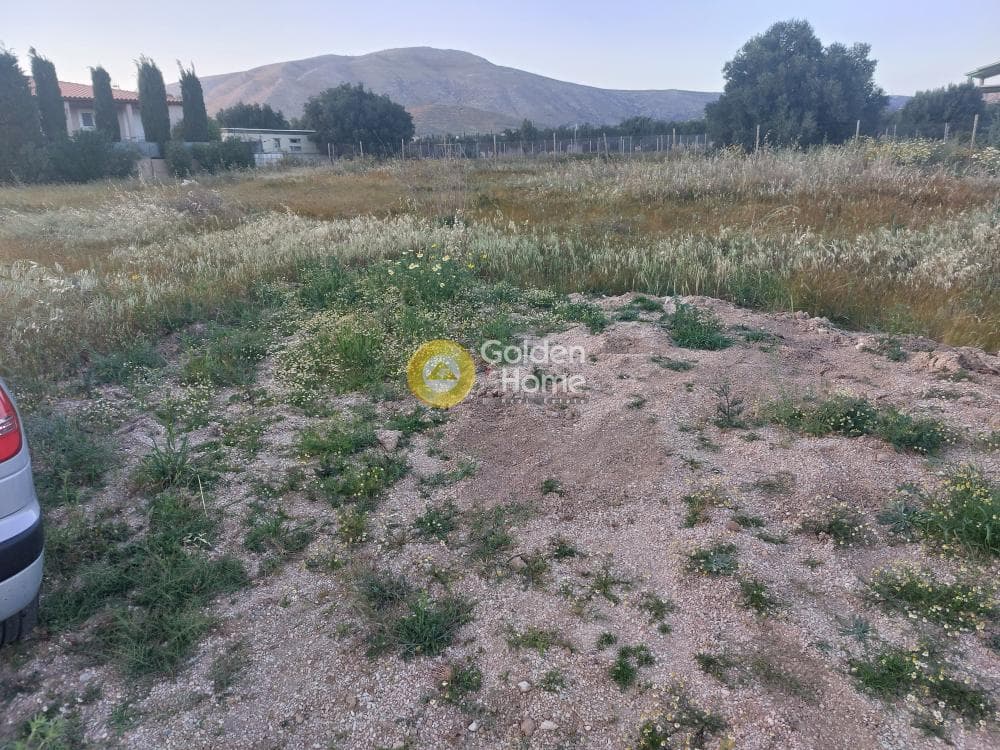 Building Plot in Ari, Anavissos