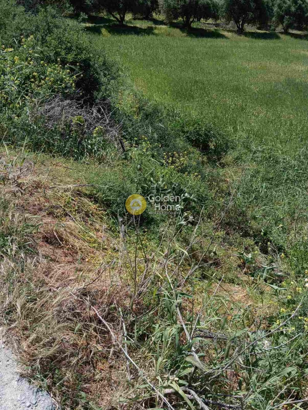 Building Plot in Epano Archanes, Archanes — Photo 3 of 6