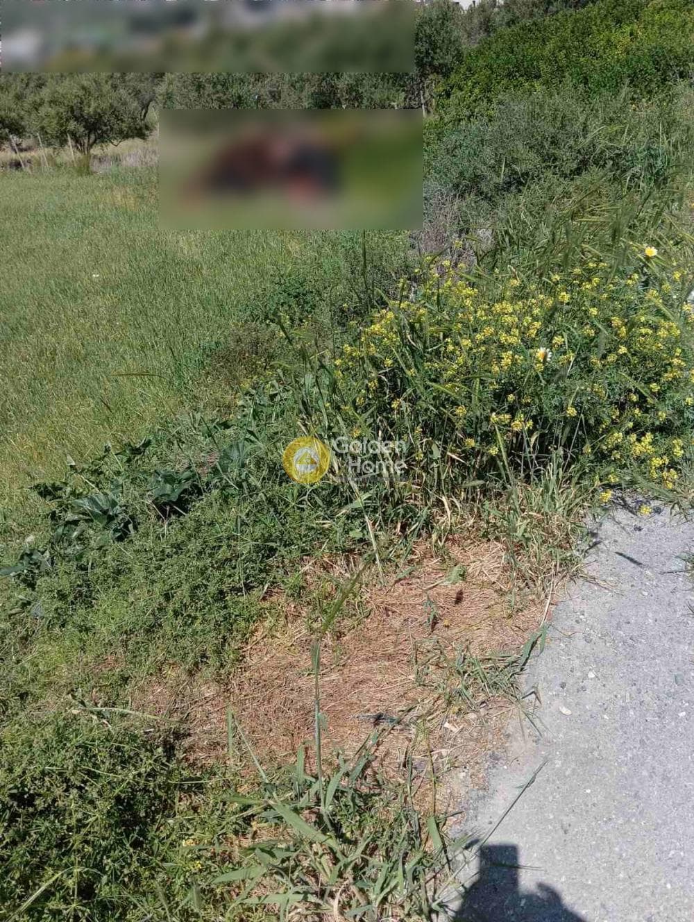 Building Plot in Epano Archanes, Archanes — Photo 2 of 6
