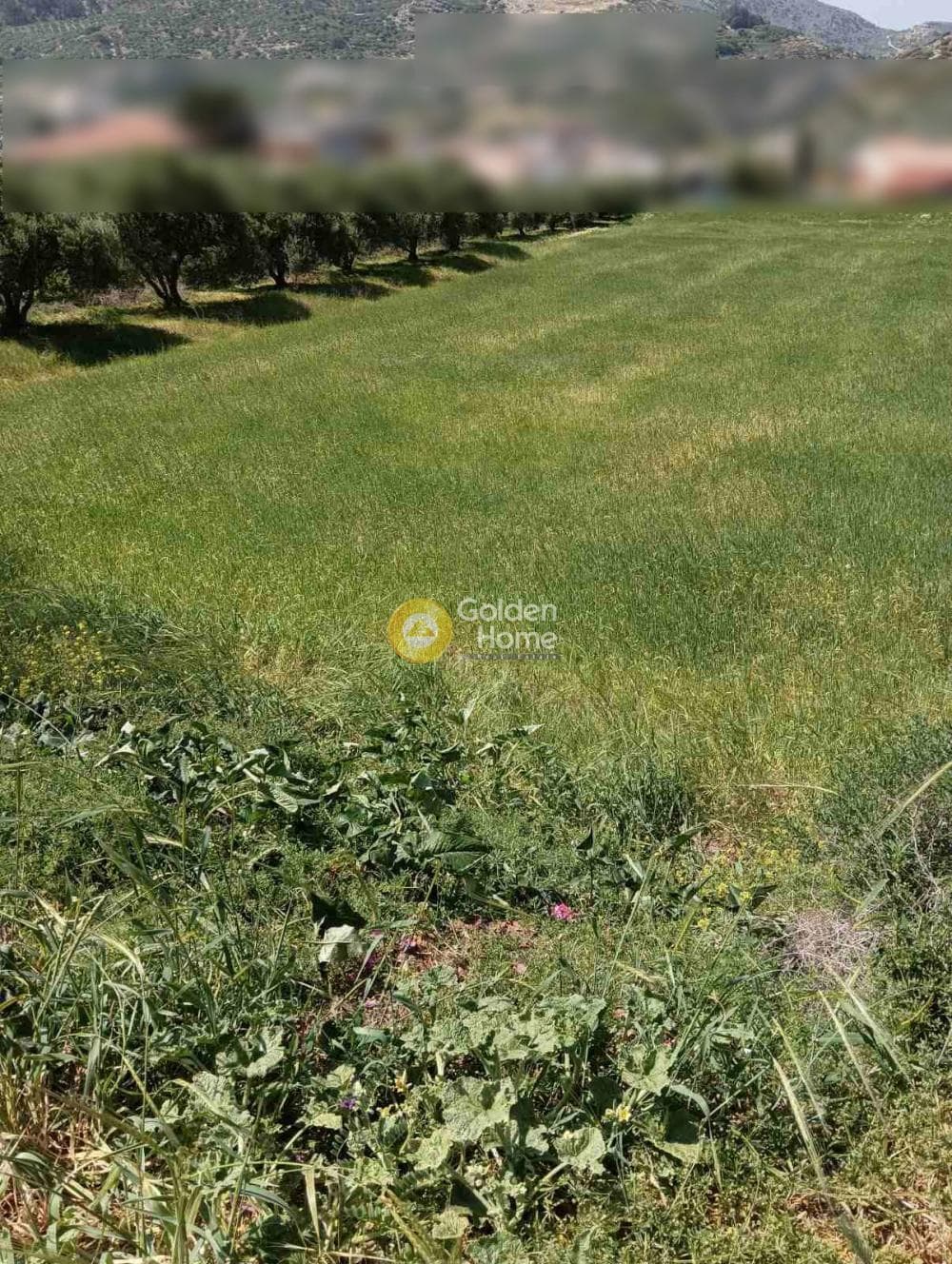 Building Plot in Epano Archanes, Archanes — Photo 5 of 6