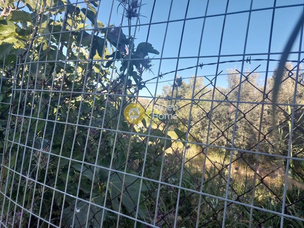 Οικόπεδο στην Καλύβια, Καλύβια Θορικού — Φωτογραφία 2 από 4