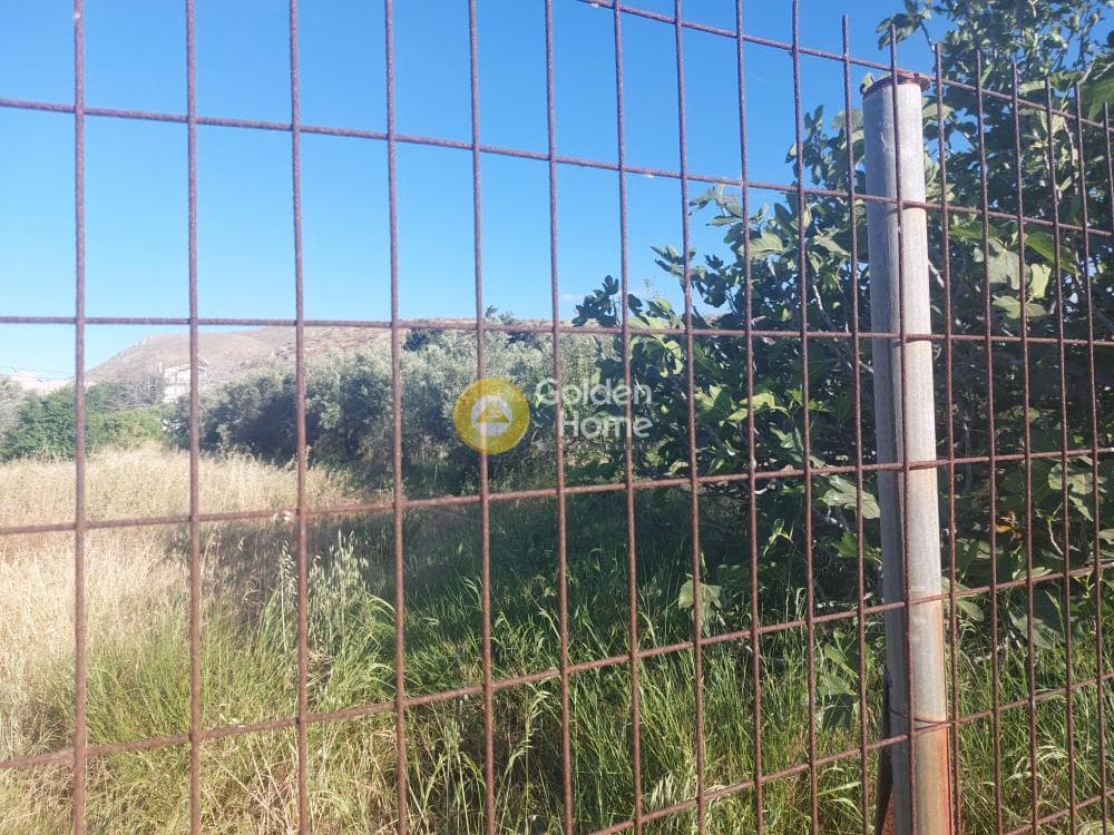 Οικόπεδο στην Καλύβια, Καλύβια Θορικού — Φωτογραφία 1 από 4