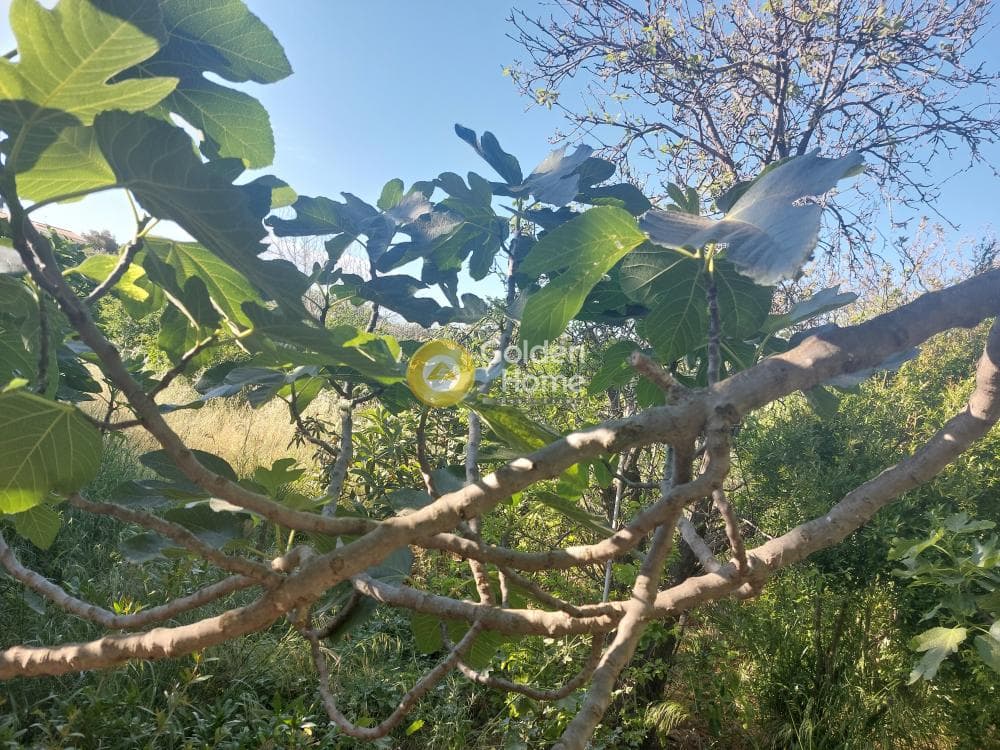 Οικόπεδο στην Καλύβια, Καλύβια Θορικού — Φωτογραφία 3 από 4