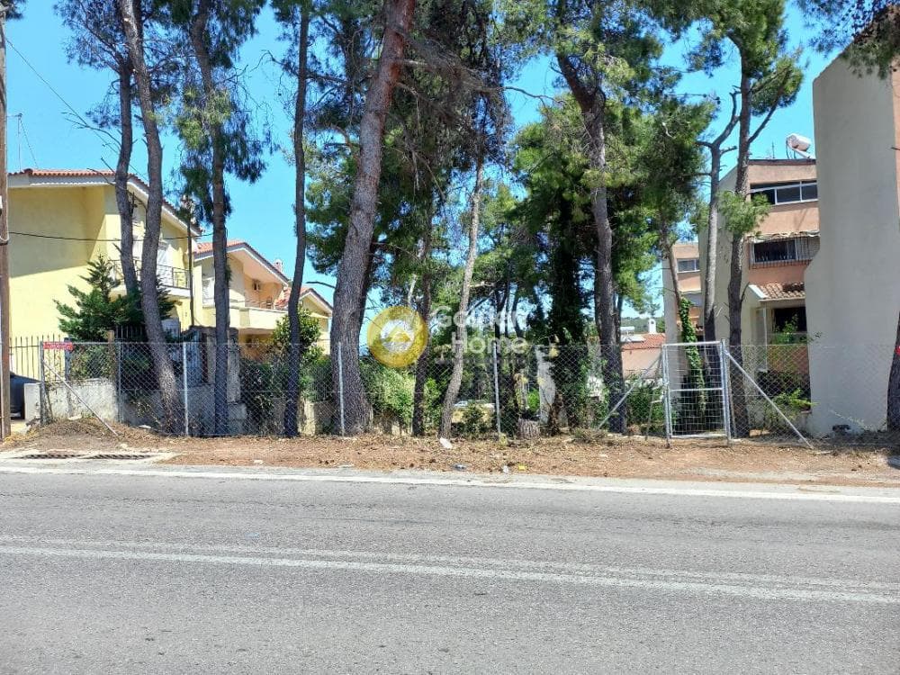 Building Plot in Anoixi, Anoixi — Photo 5 of 5