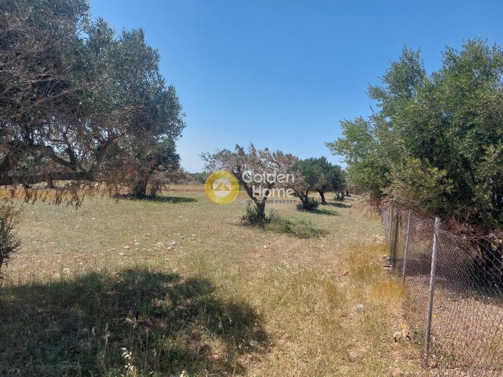 Parcel in Kalivia, Kalivia Thorikou — Photo 3 of 4