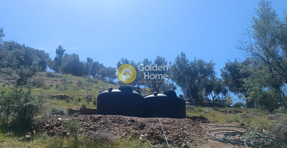Parcel in Perani, Salamina — Photo 4 of 8