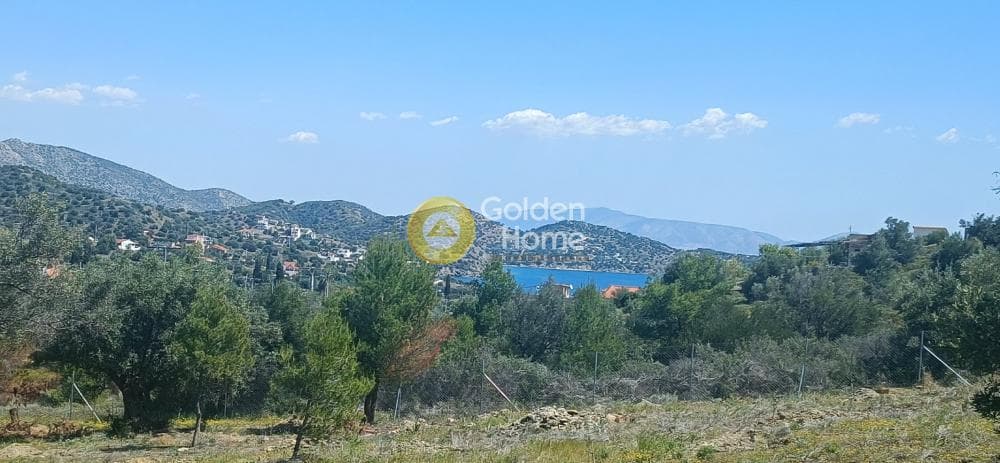 Parcel in Perani, Salamina — Photo 6 of 8