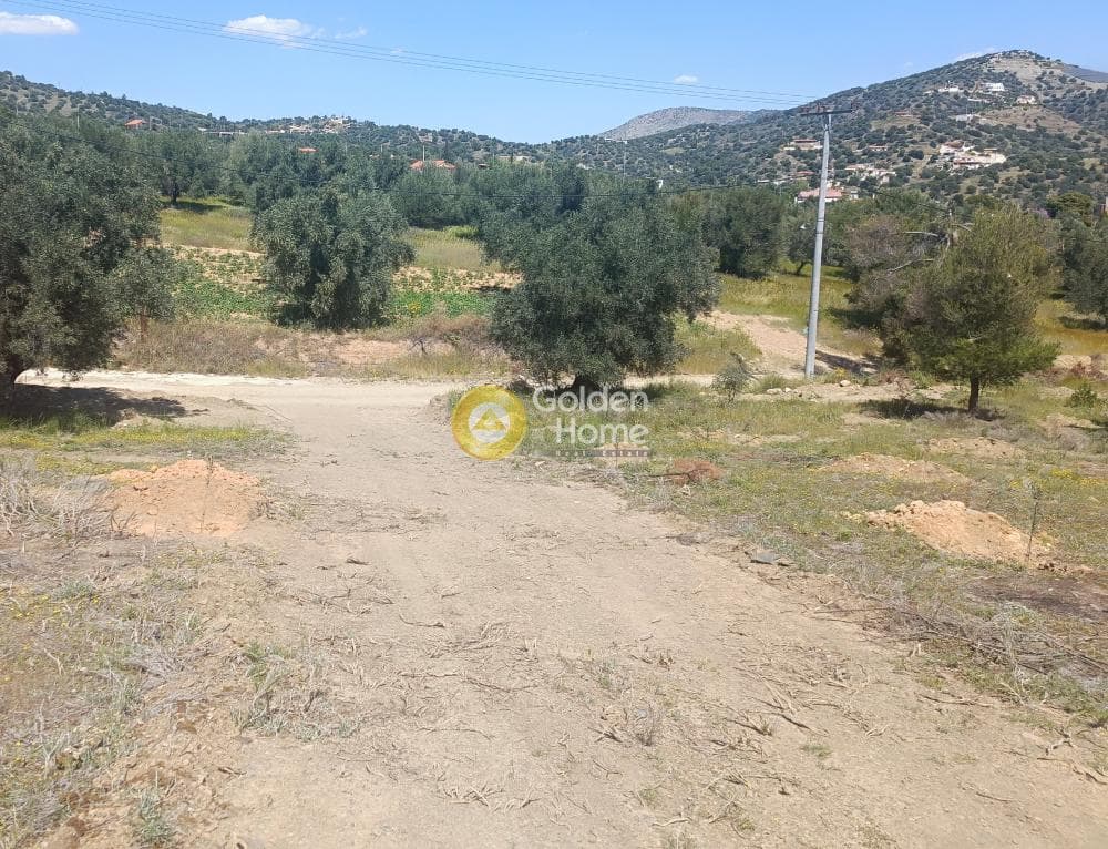 Parcel in Perani, Salamina — Photo 5 of 8