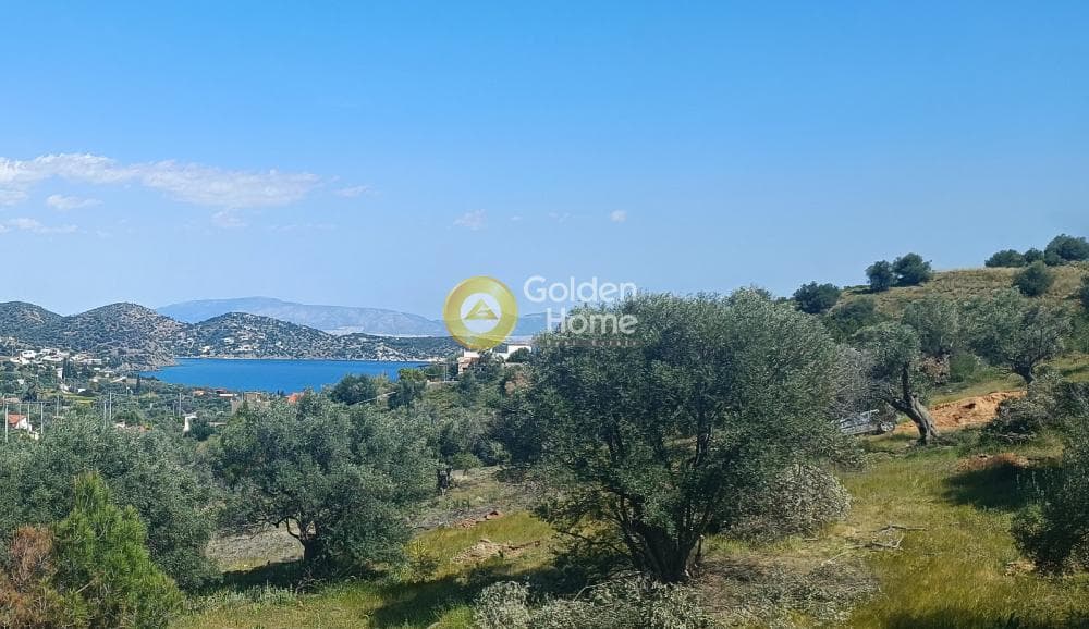 Parcel in Perani, Salamina — Photo 1 of 8