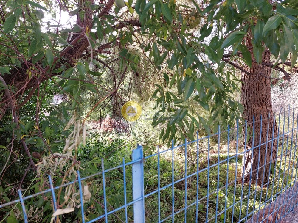 Οικόπεδο στην Βορινέζα, Αρτέμιδα (Λούτσα) — Φωτογραφία 7 από 10