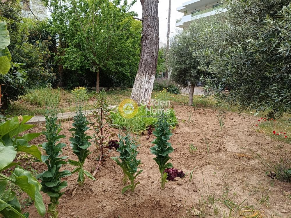 Οικόπεδο στην Δημοδιδασκάλων, Αγία Παρασκευή — Φωτογραφία 6 από 6