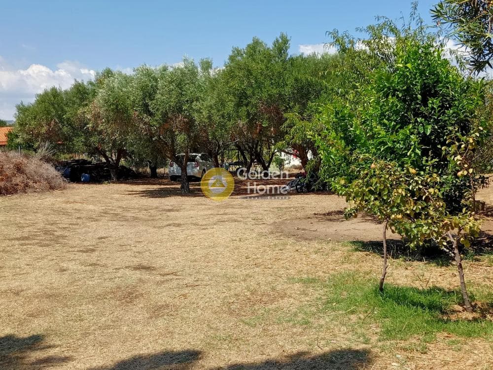 Μονοκατοικία στην Όρμος Παναγίας, Σιθωνία — Φωτογραφία 4 από 16