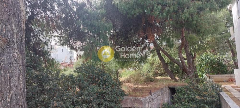 Οικόπεδο στην Αδάμες (Οικισμός Γράμμος - Φοίνικας), Κηφισιά — Φωτογραφία 2 από 5