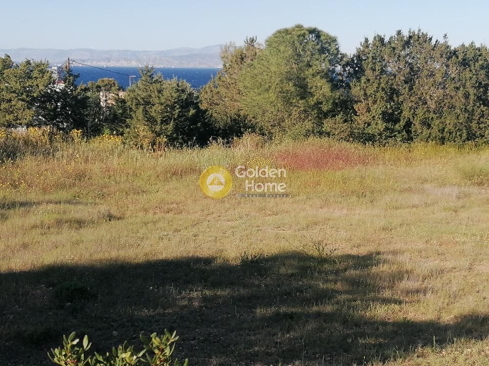 Building Plot in Therma, Aegina — Photo 1 of 4