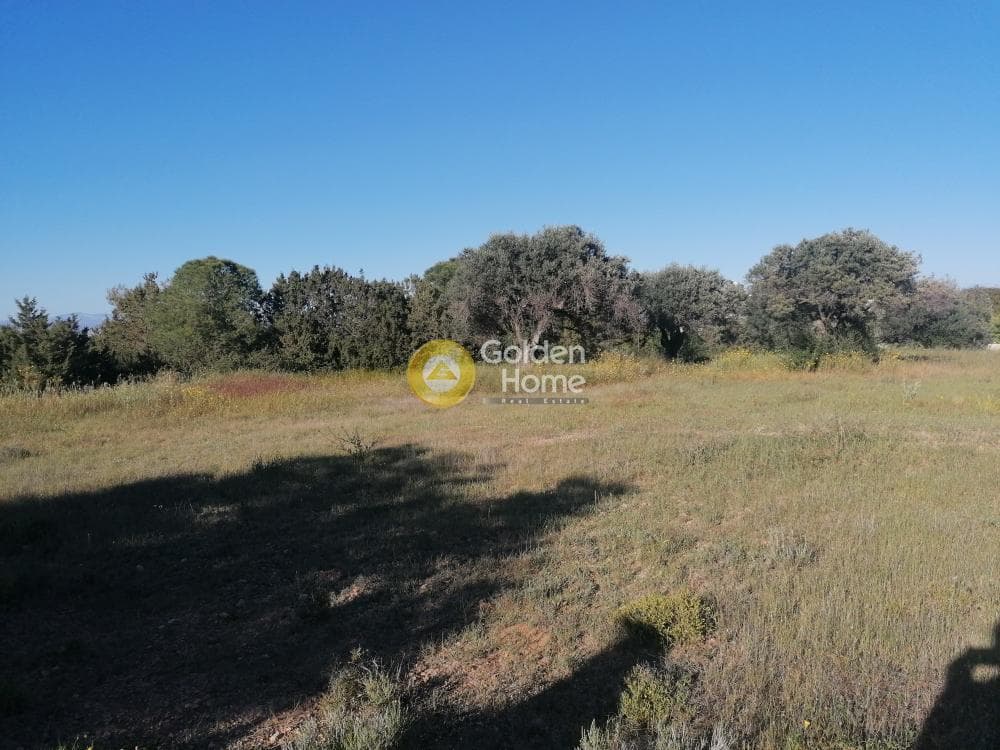 Building Plot in Therma, Aegina — Photo 2 of 4