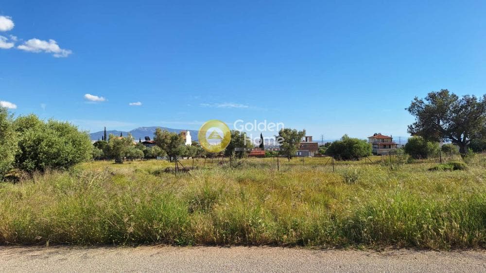 Building Plot in Megala Sxoinia A, Acharnes — Photo 1 of 4