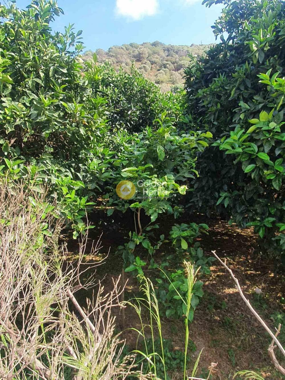 Building Plot in Palaiokastro, Gazi — Photo 1 of 2