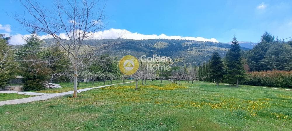 Μονοκατοικία στην Καλύβια, Αράχωβα — Φωτογραφία 40 από 55