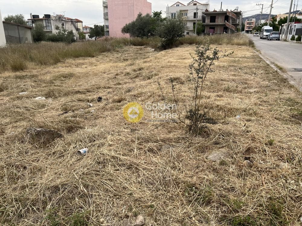 Building Plot in Megala Sxoinia A, Acharnes — Photo 3 of 3