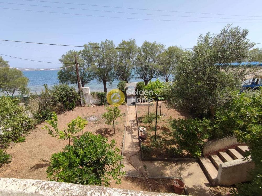 Μονοκατοικία στην Παραλία Αυλίδας, Τανάγρα — Φωτογραφία 4 από 10