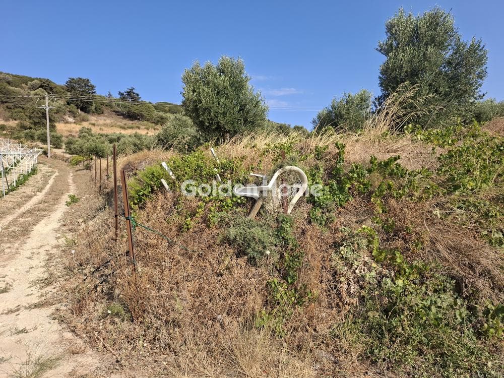 Building Plot in Choudetsi, Archanes — Photo 4 of 9