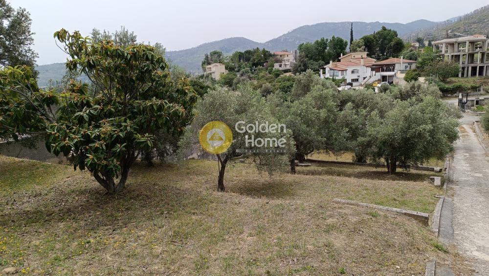 Μονοκατοικία στην Κιούρκα, Αφίδνες — Φωτογραφία 27 από 37