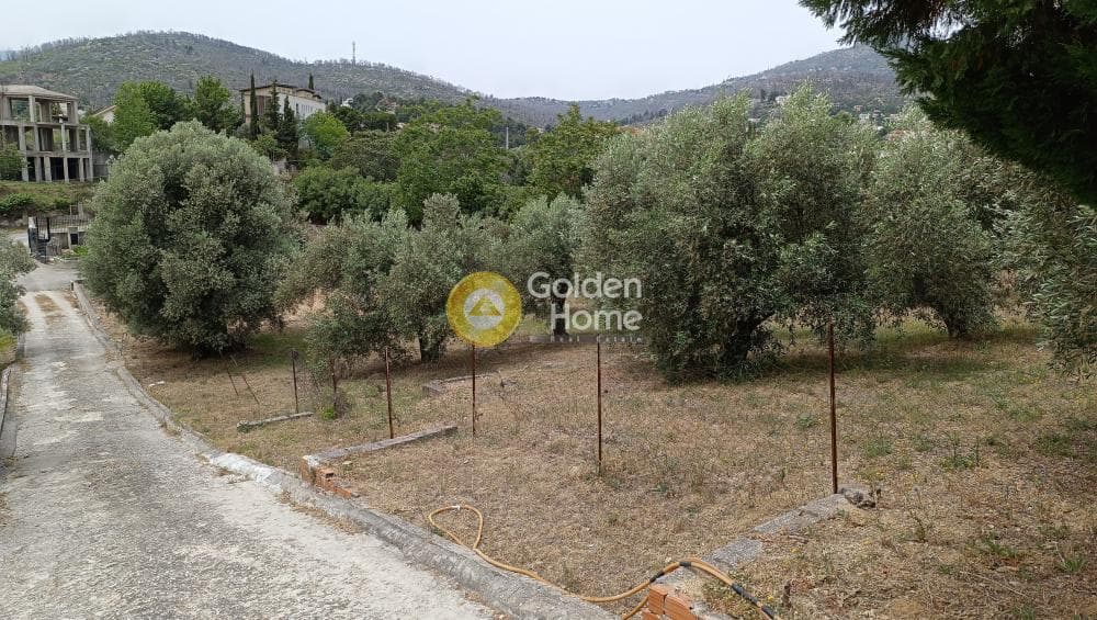 Μονοκατοικία στην Κιούρκα, Αφίδνες — Φωτογραφία 28 από 37