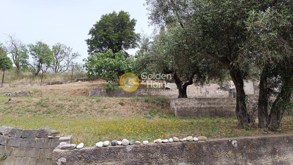 Μονοκατοικία στην Κιούρκα, Αφίδνες — Φωτογραφία 29 από 37