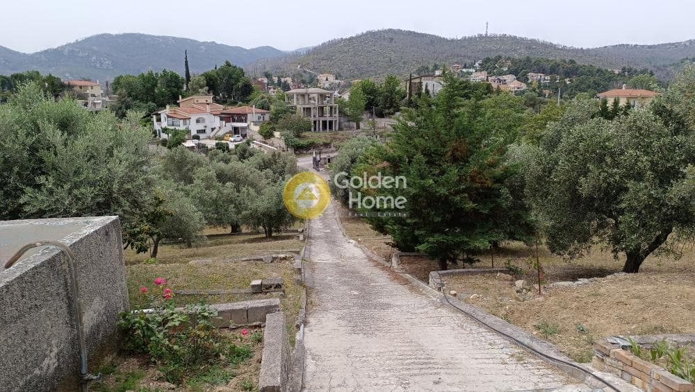 Μονοκατοικία στην Κιούρκα, Αφίδνες — Φωτογραφία 20 από 37