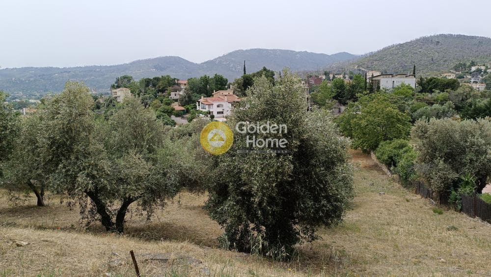 Μονοκατοικία στην Κιούρκα, Αφίδνες — Φωτογραφία 31 από 37