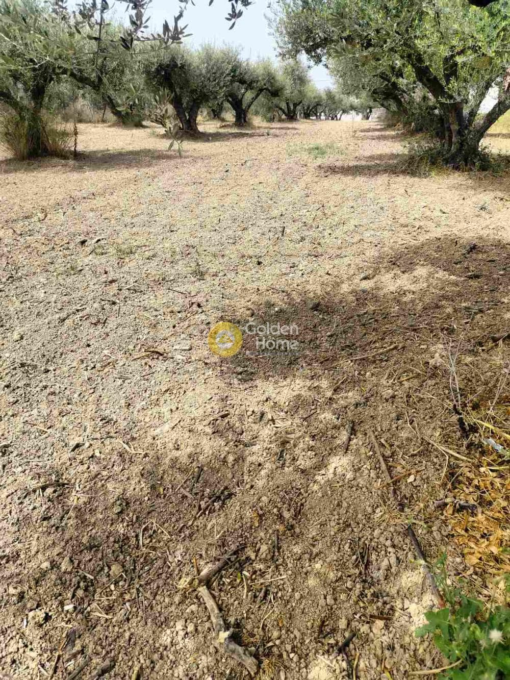 Building Plot in Agioi Theodoroi, Gazi — Photo 2 of 5