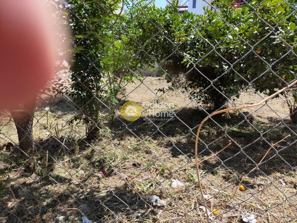Αγροτεμάχιο στην Κέντρο, Μοσχάτο — Φωτογραφία 9 από 9