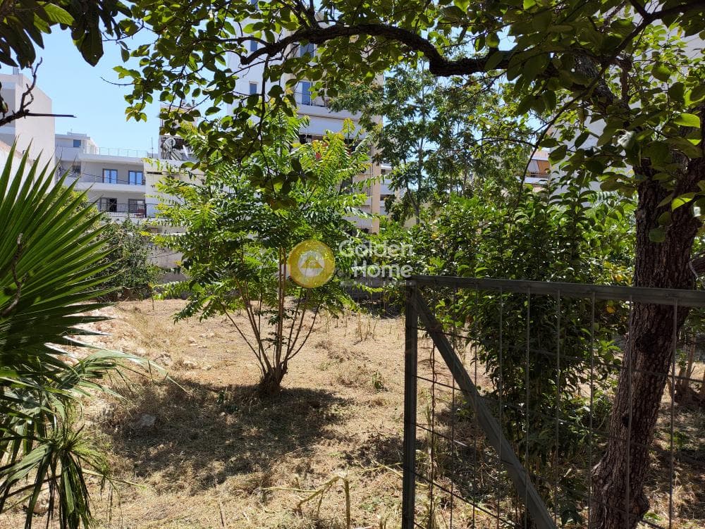 Αγροτεμάχιο στην Κέντρο, Μοσχάτο — Φωτογραφία 4 από 9