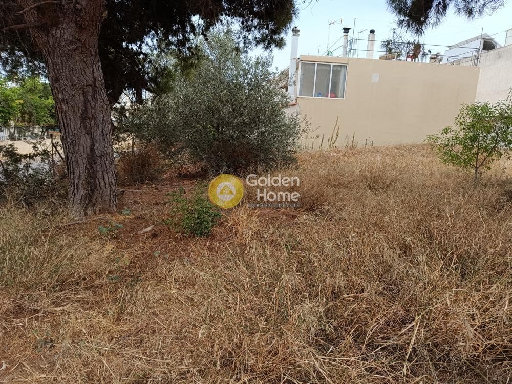 Οικόπεδο στην Βορινέζα, Αρτέμιδα (Λούτσα) — Φωτογραφία 2 από 3