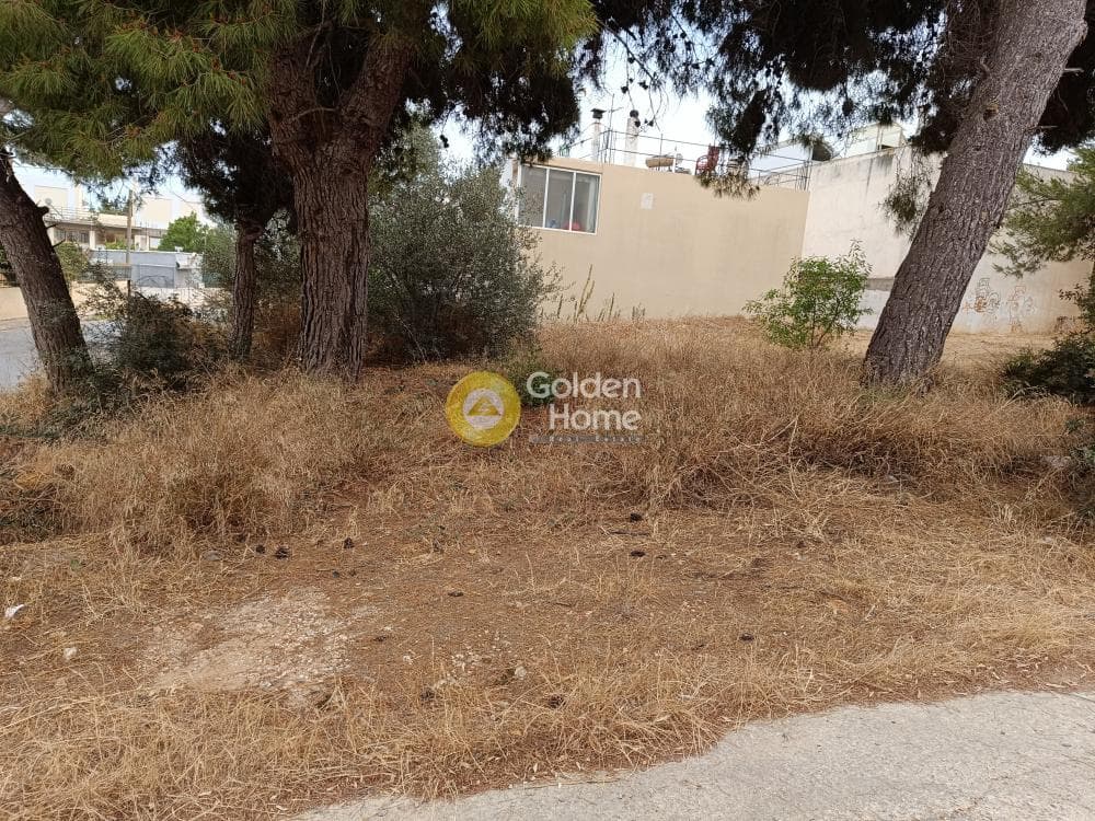 Οικόπεδο στην Βορινέζα, Αρτέμιδα (Λούτσα) — Φωτογραφία 3 από 3