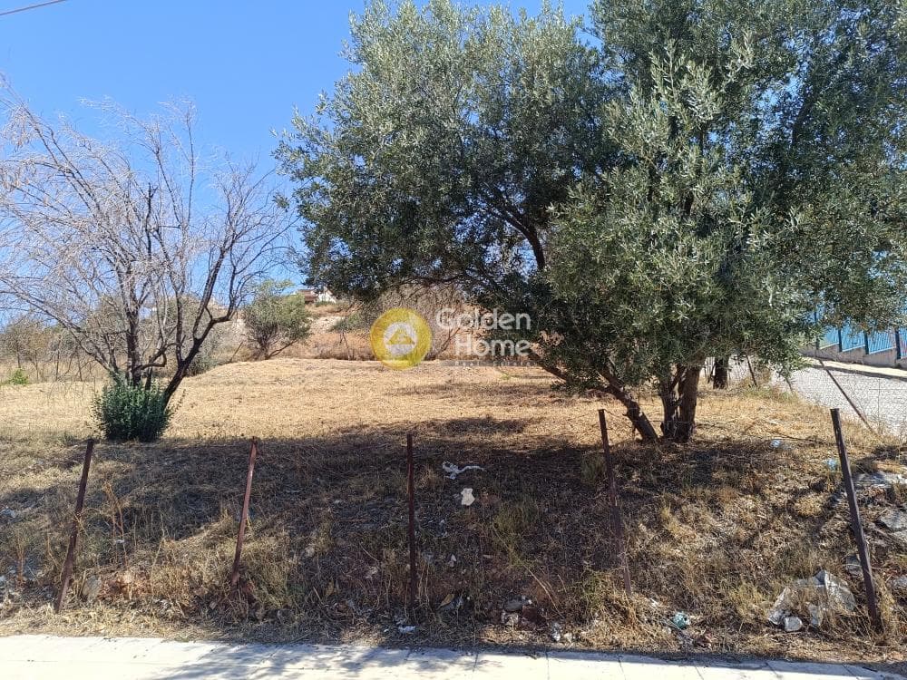 Οικόπεδο στην Ανθούσα, Ανθούσα