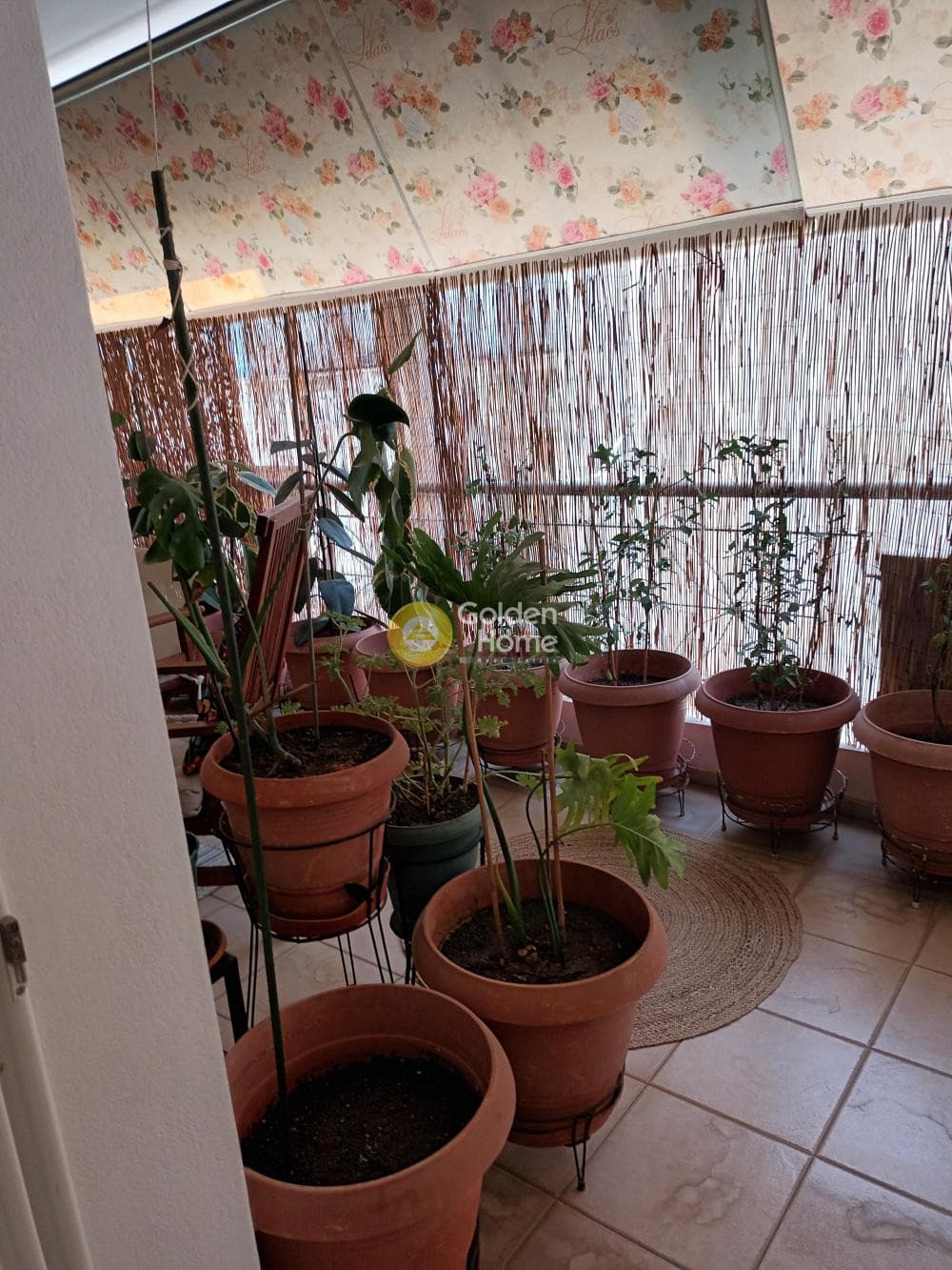 Apartment in Soutsou, Ilisia — Photo 28 of 44