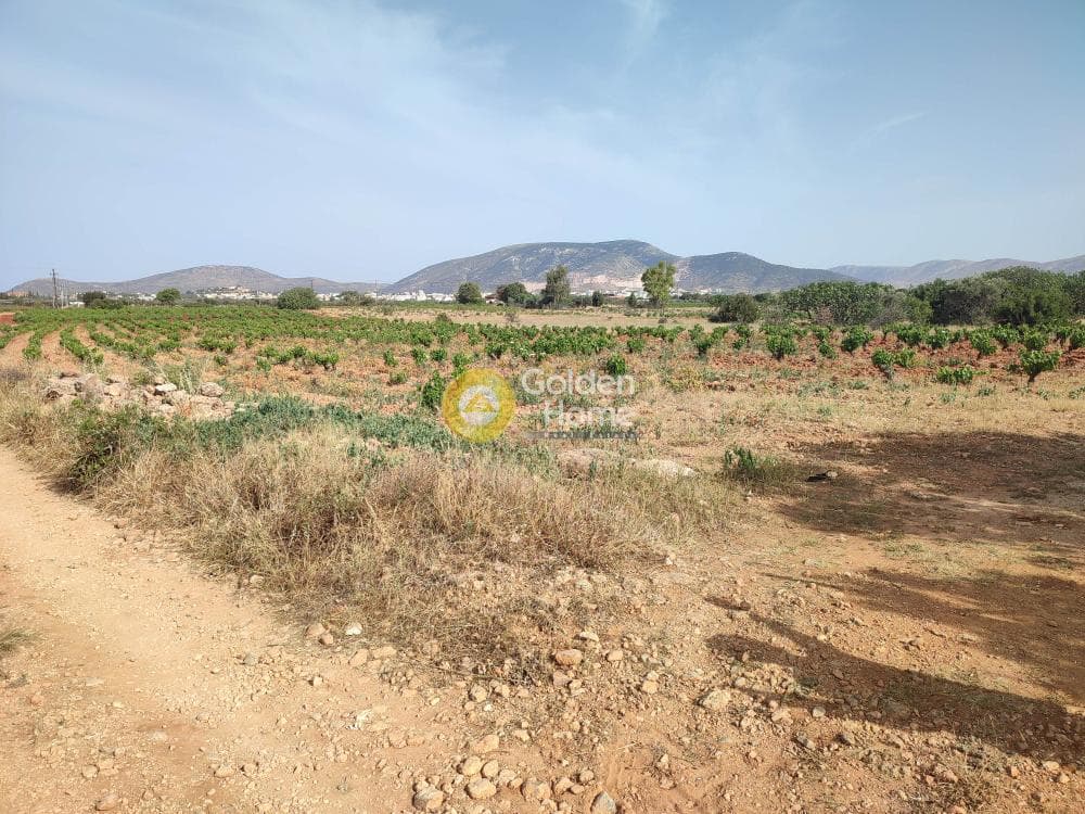 Parcel in Ethnikis Antistaseos, Agios Dimitrios