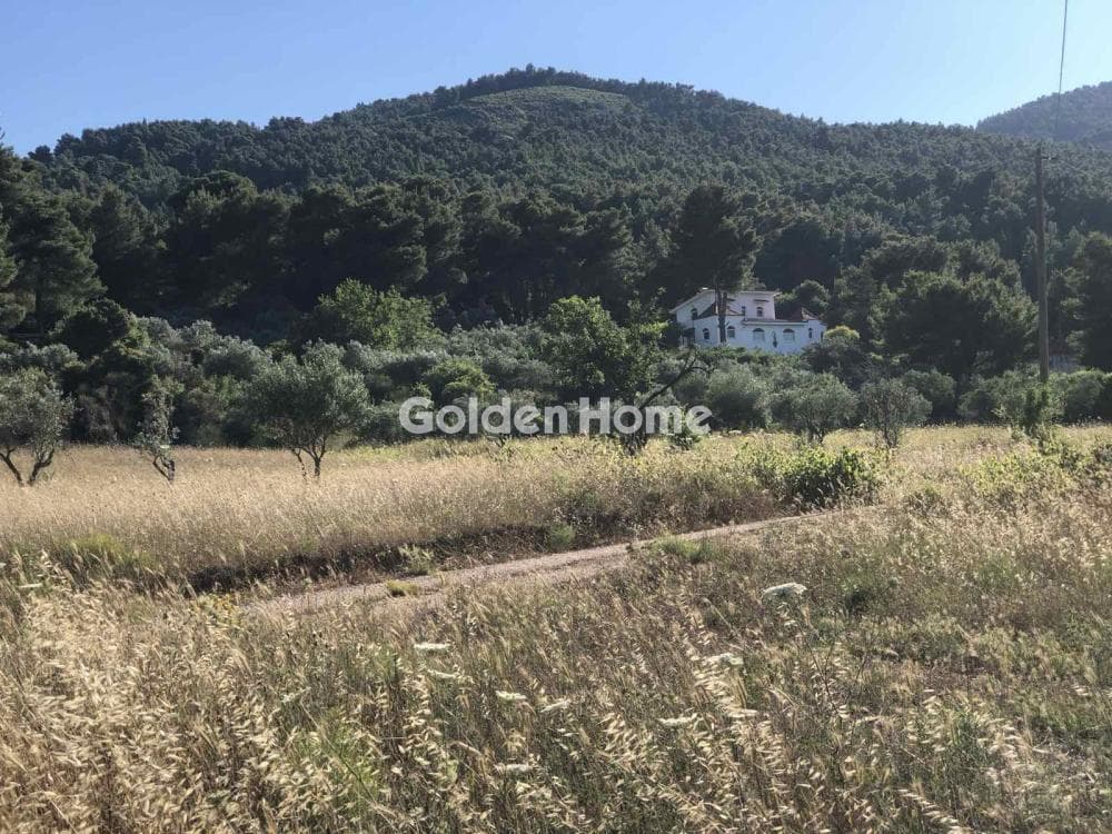 Parcel in Kiourka, Afidnes — Photo 1 of 3