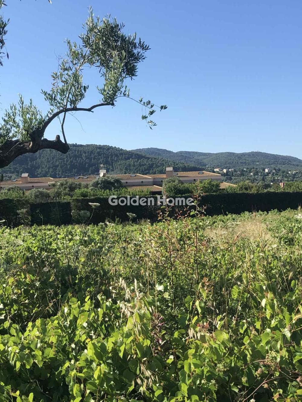 Parcel in Kiourka, Afidnes — Photo 2 of 3