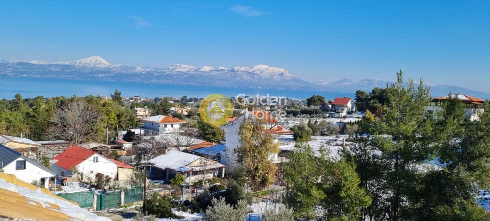 Μονοκατοικία στην Δήλεσι, Οινόφυτα — Φωτογραφία 2 από 9