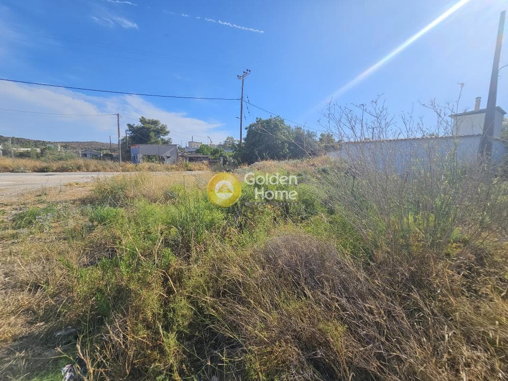 Parcel in Vromopousi, Salamina — Photo 7 of 10