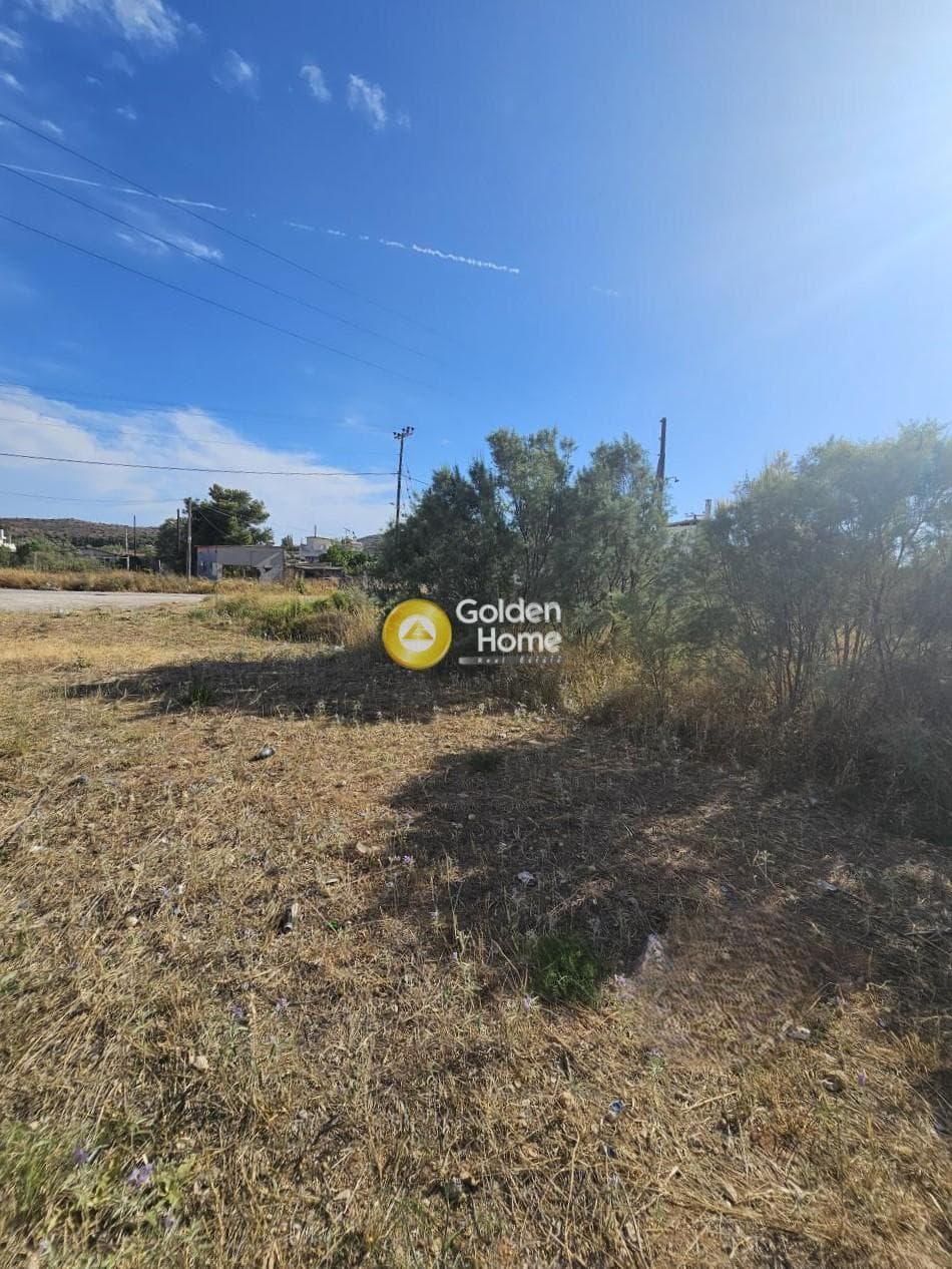 Parcel in Vromopousi, Salamina — Photo 4 of 10