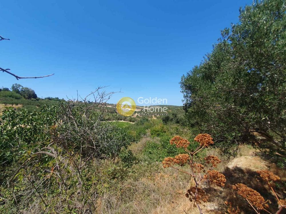 Building Plot in Sgourokefali, Episkopi — Photo 12 of 16