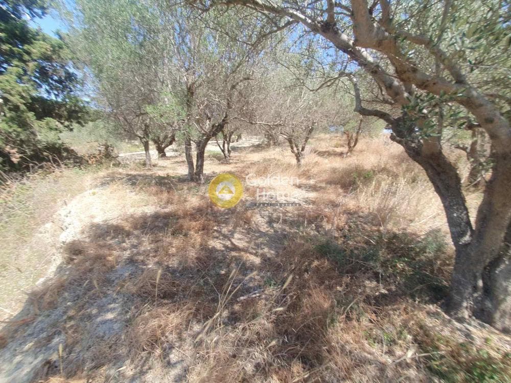 Building Plot in Sgourokefali, Episkopi — Photo 14 of 16
