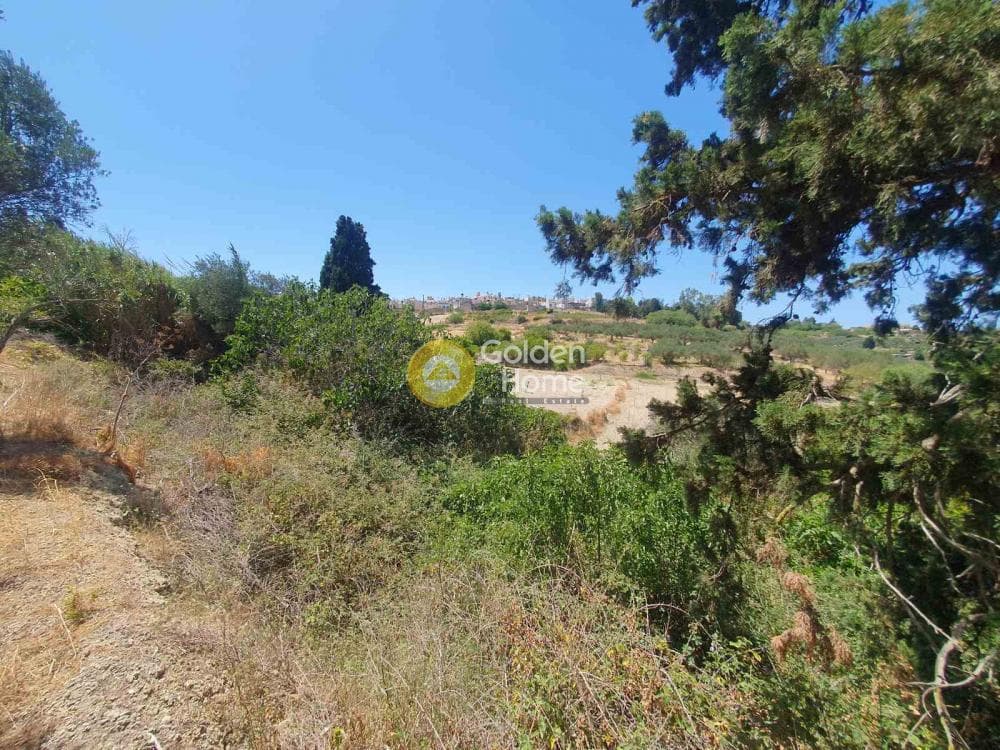 Building Plot in Sgourokefali, Episkopi — Photo 15 of 16
