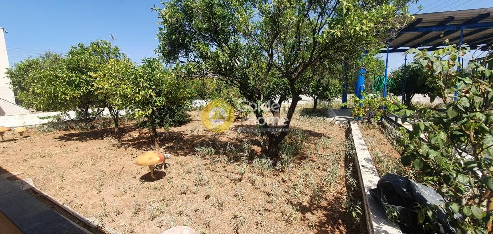 Building Plot in Center, Salamina — Photo 1 of 26