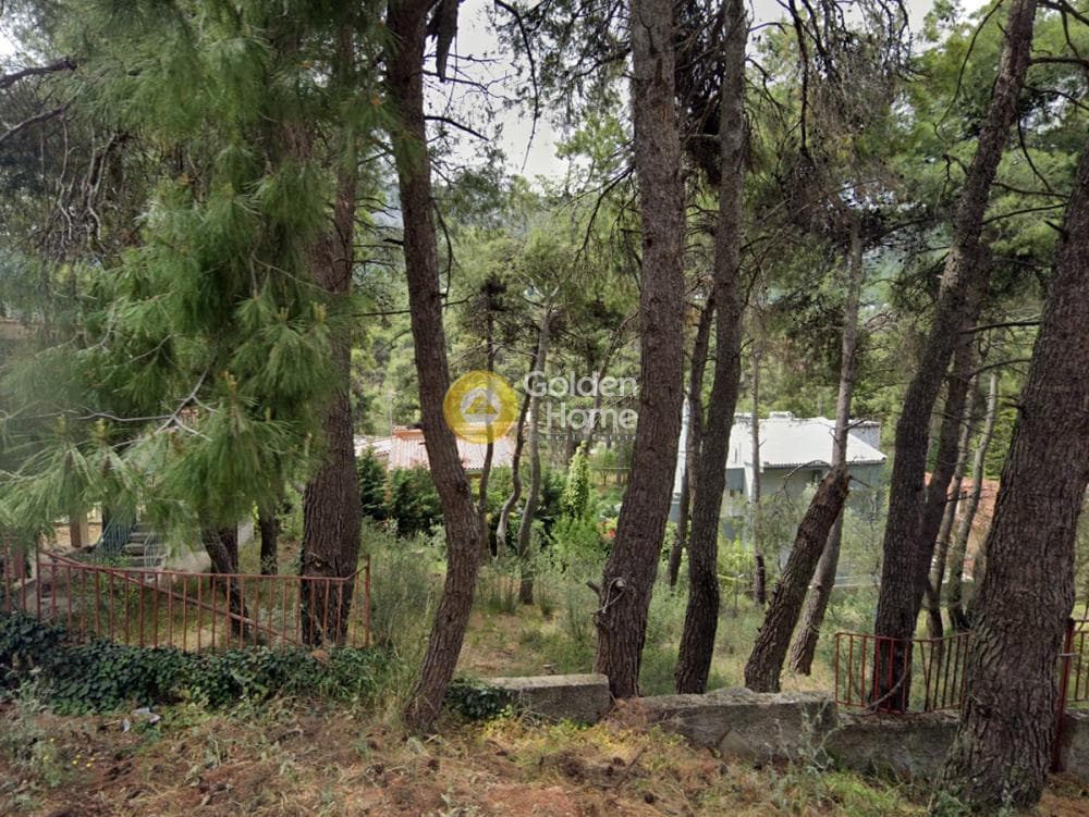 Building Plot in Rodopoli, Rodopoli