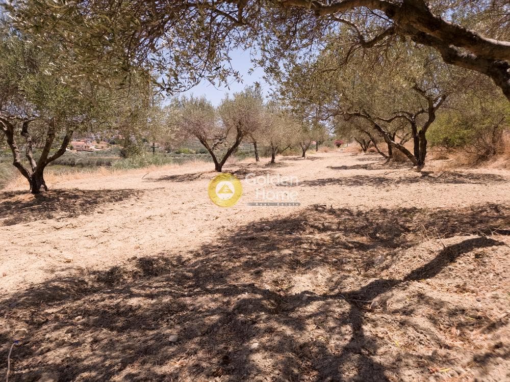 Building Plot in Epano Vatheia, Episkopi — Photo 5 of 5